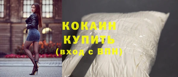 амф Дмитриев