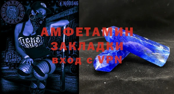 амф Дмитриев